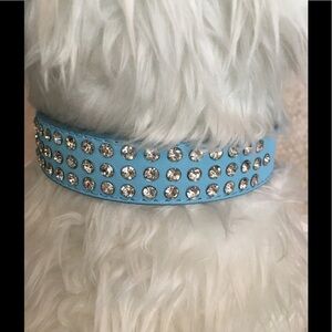 Statement Collar